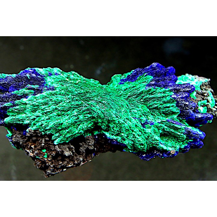 Azurite et malachite  - Maroc