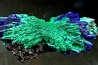 Azurite et malachite  - Maroc