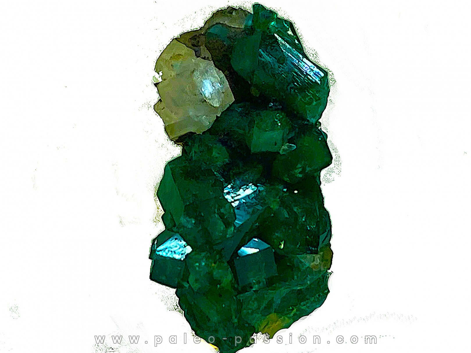 TOP! CALCITE sur DIOPTASE - Mindouli, RD Congo