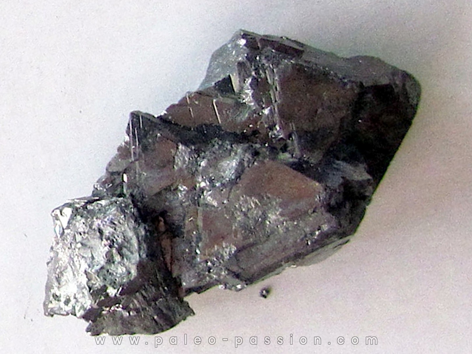 Gersdorffite - Bou Azzer Morocco (3)
