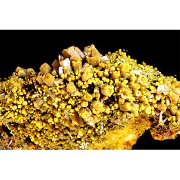 Pyromorphite "mustard touch"  Les Farges, FRANCE