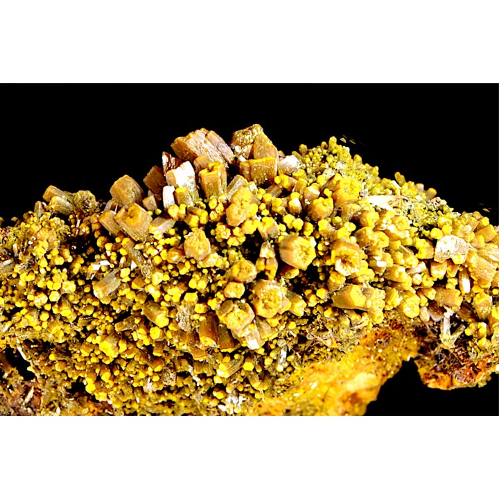 Pyromorphite "mustard touch"  Les Farges, FRANCE