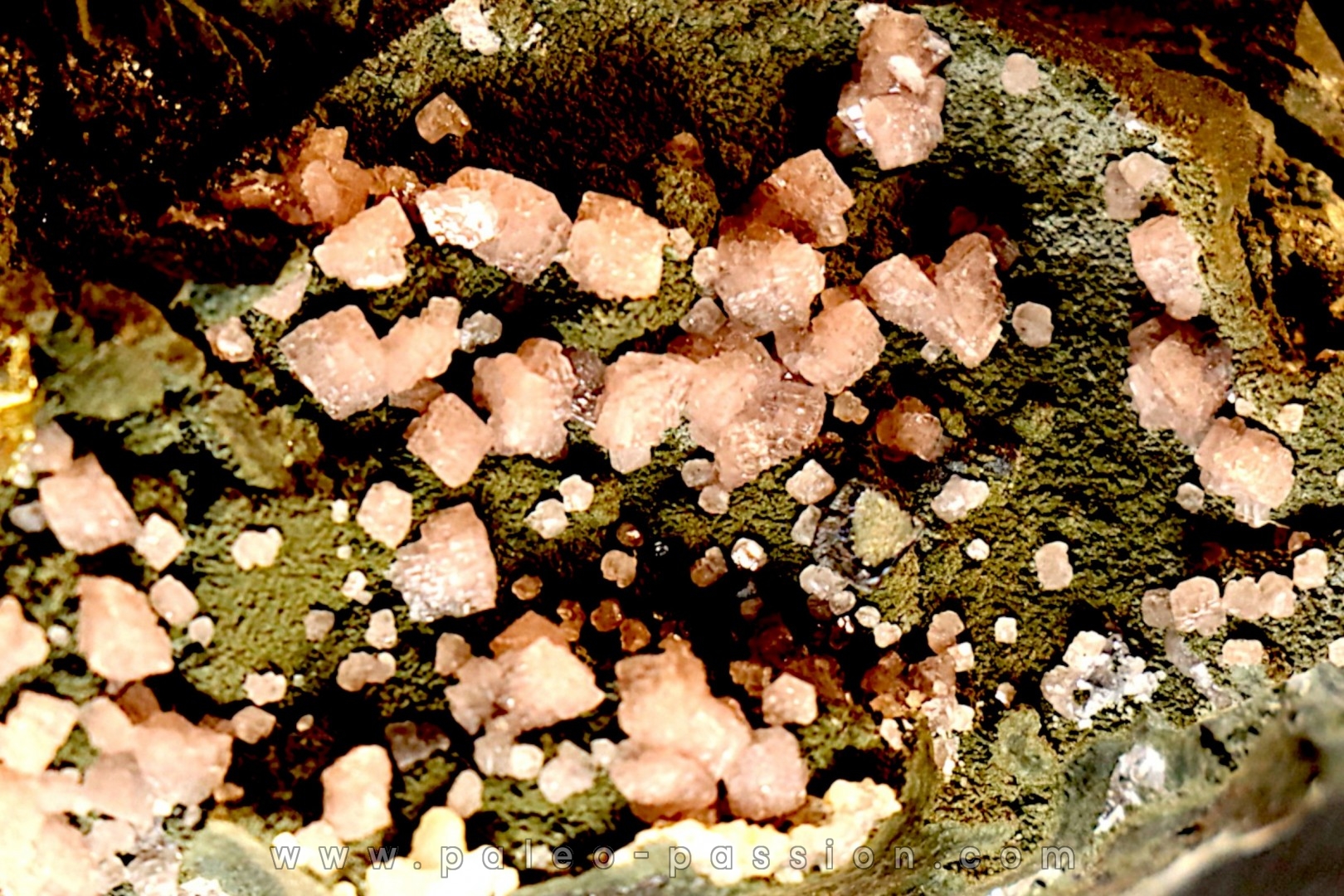 Rhodochrosite - Chihuahua, Mexique