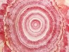 Rhodochrosite  Mina Capillitas, Andalgala, ARGENTINE