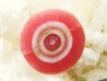 Rhodochrosite  Mina Capillitas, Andalgala, ARGENTINE
