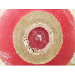 Rhodochrosite  Mina Capillitas, Andalgala, ARGENTINE