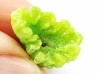 Pyromorphite - mine Daoping, guangxi province, CHINA