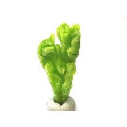 Pyromorphite  - mine Daoping, guangxi province, CHINE