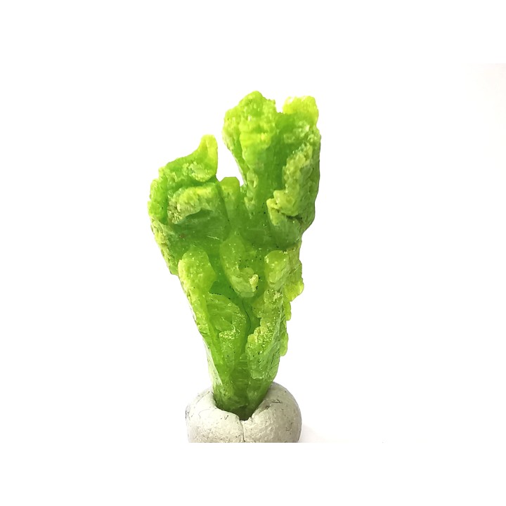 Pyromorphite  - mine Daoping, guangxi province, CHINE