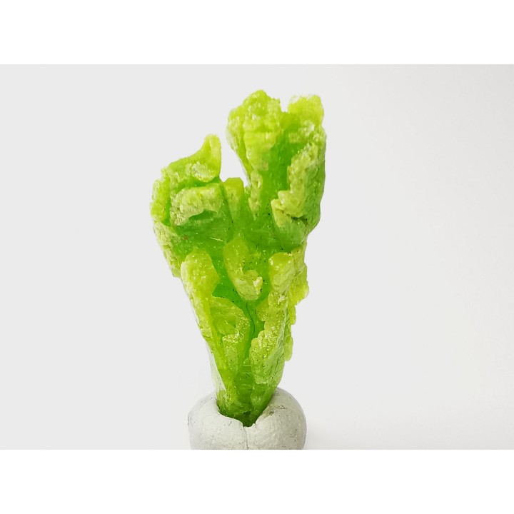 Pyromorphite  - mine Daoping, guangxi province, CHINA