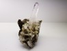 Quartz Amethyste - Veracruz, Mexique