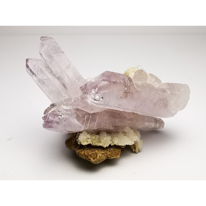 Quartz Amethyste  - Veracruz, Mexique