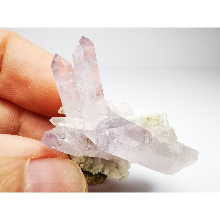 Quartz Amethyste  - Veracruz, Mexique