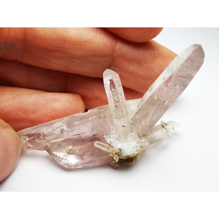 Quartz Amethyste  - Veracruz, Mexique