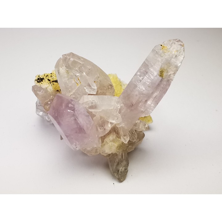 Quartz Amethyste  - Veracruz, Mexique
