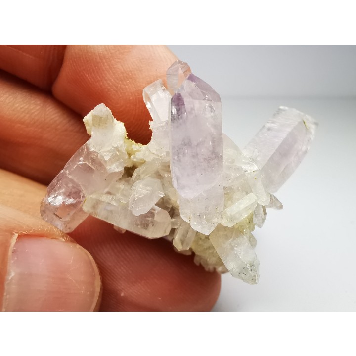 Quartz Amethyste  - Veracruz, Mexique