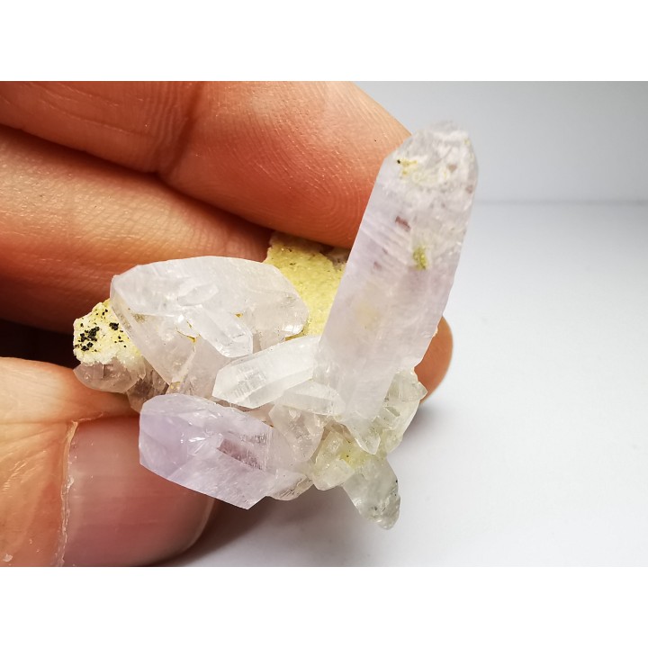 Quartz Amethyste  - Veracruz, Mexique