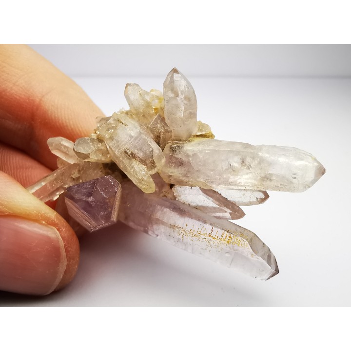 Quartz Amethyste  - Veracruz, Mexique