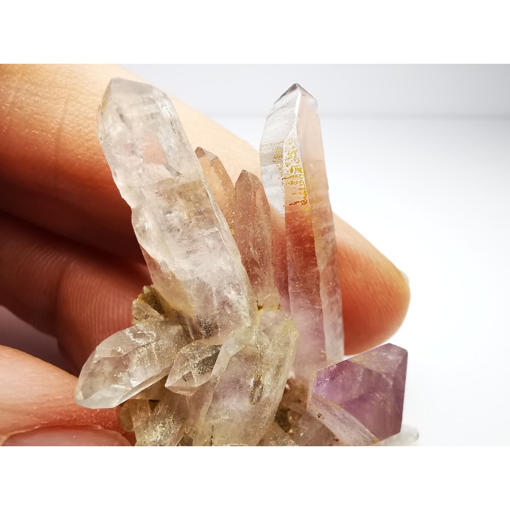 Quartz Amethyste  - Veracruz, Mexique