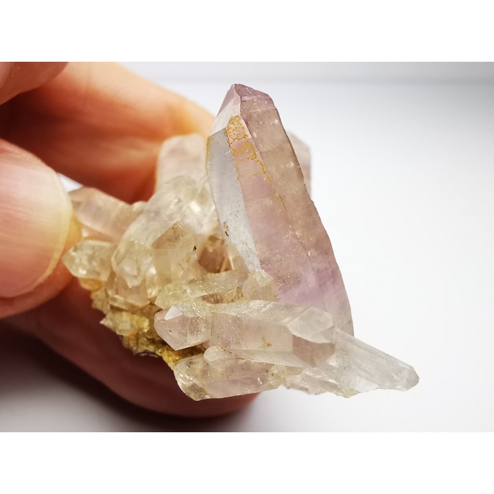 Quartz Amethyste  - Veracruz, Mexique