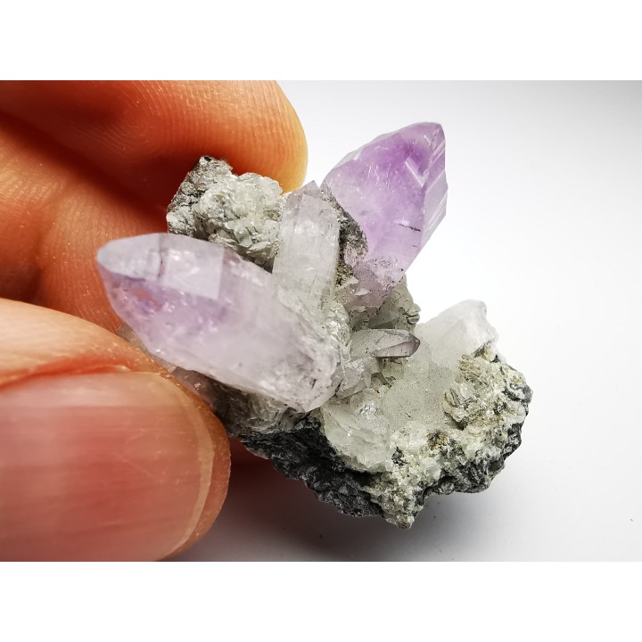 Quartz Amethyste  - Veracruz, Mexique