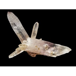 Quartz Amethyste  - Veracruz, Mexique