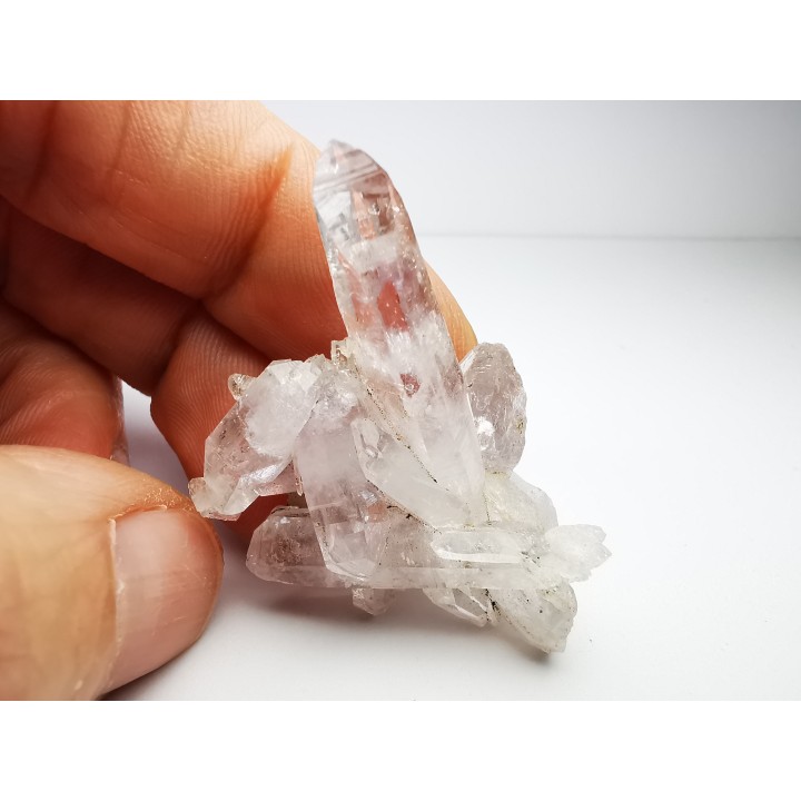 Quartz Amethyste  - Veracruz, Mexique
