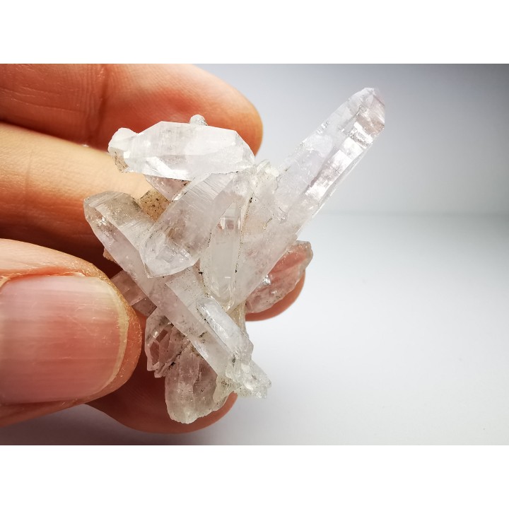 Quartz Amethyste  - Veracruz, Mexique