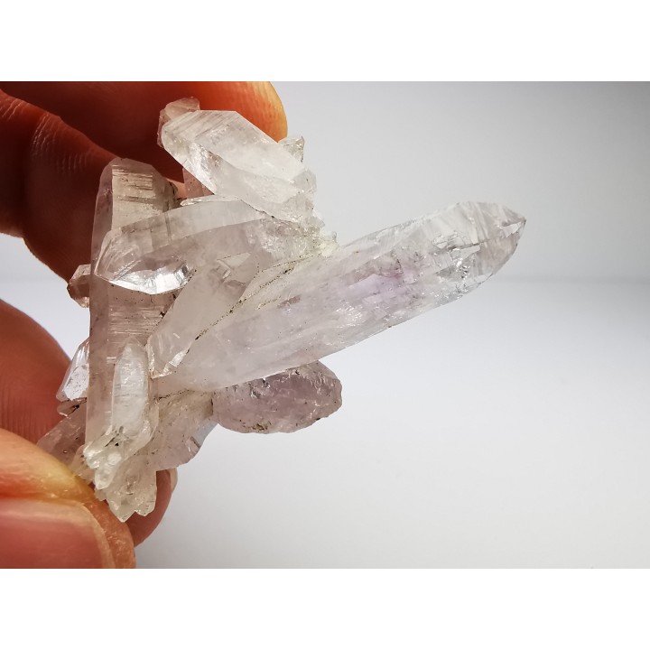 Quartz Amethyste  - Veracruz, Mexique
