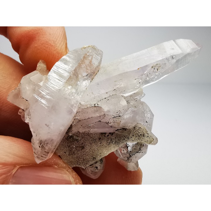 Quartz Amethyste  - Veracruz, Mexique