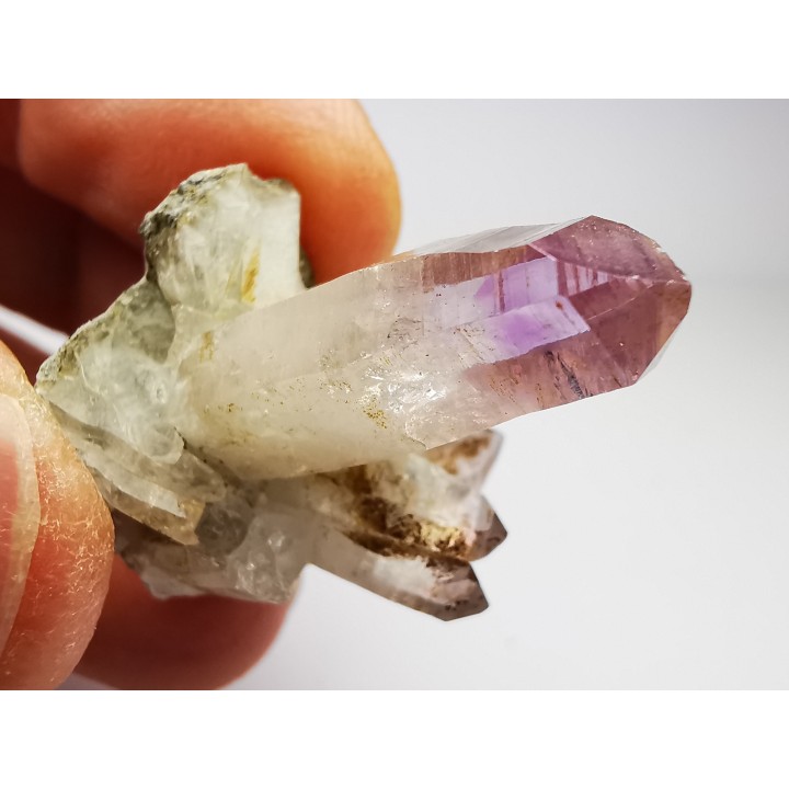 Quartz Amethyste  - Veracruz, Mexique