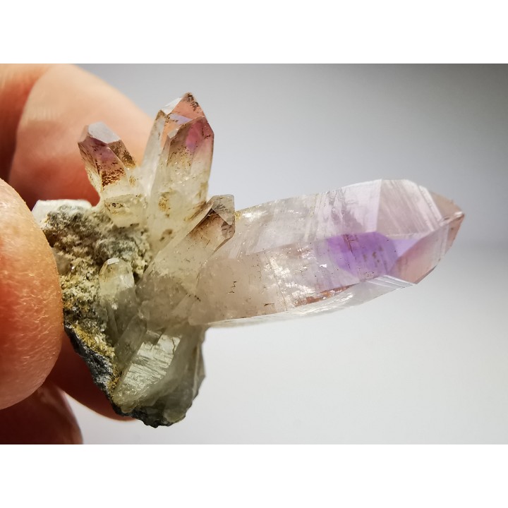 Quartz Amethyste  - Veracruz, Mexique