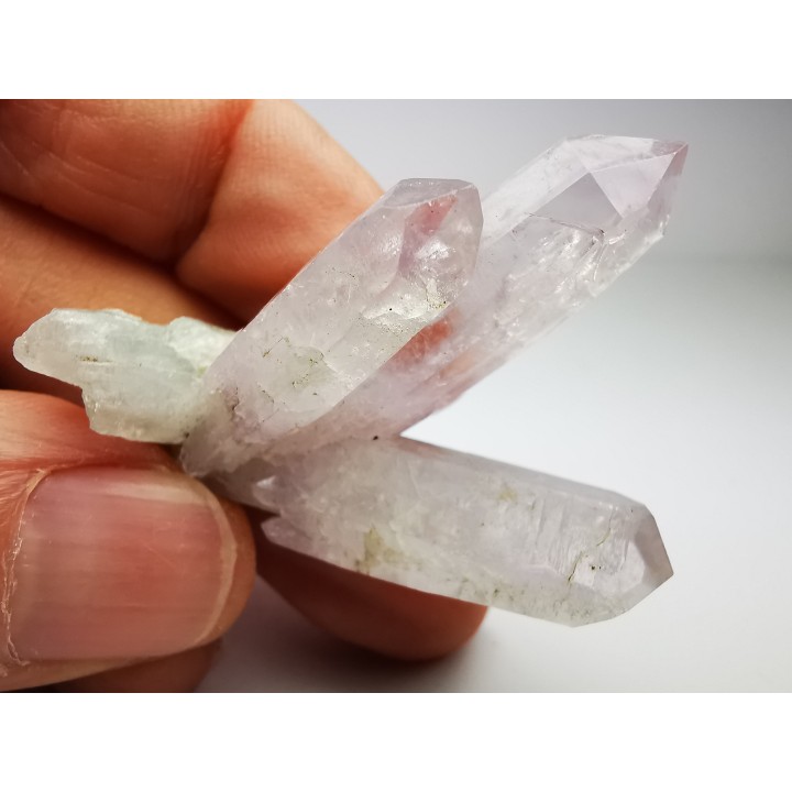 Quartz Amethyste  - Veracruz, Mexique