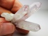 Quartz Amethyste  - Veracruz, Mexique