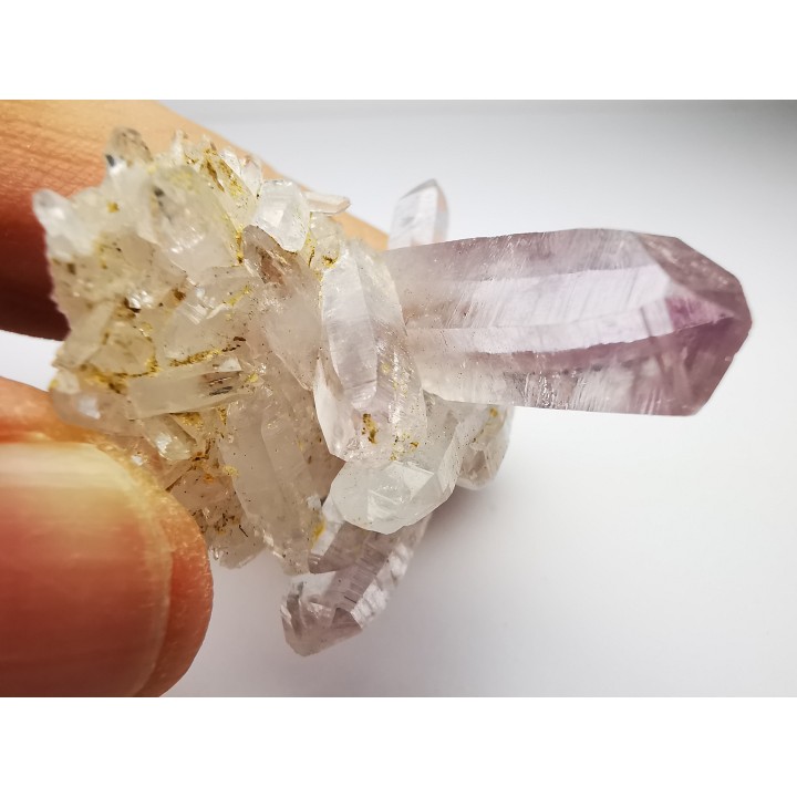 Quartz Amethyste  - Veracruz, Mexique
