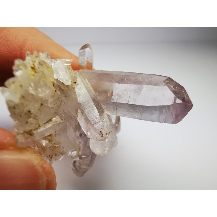 Quartz Amethyste  - Veracruz, Mexique