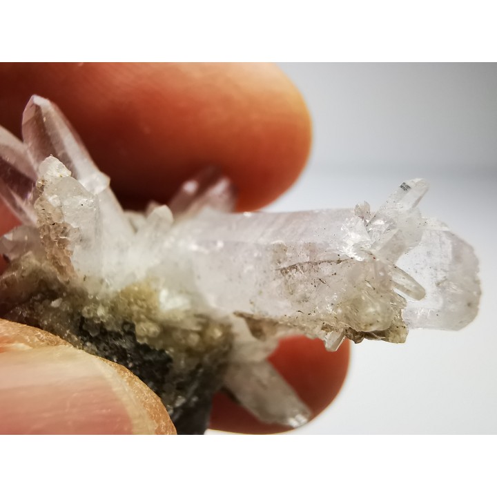 Quartz Amethyste  - Veracruz, Mexique