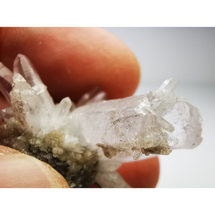 Quartz Amethyste  - Veracruz, Mexique