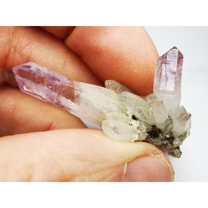 Quartz Amethyste  - Veracruz, Mexique