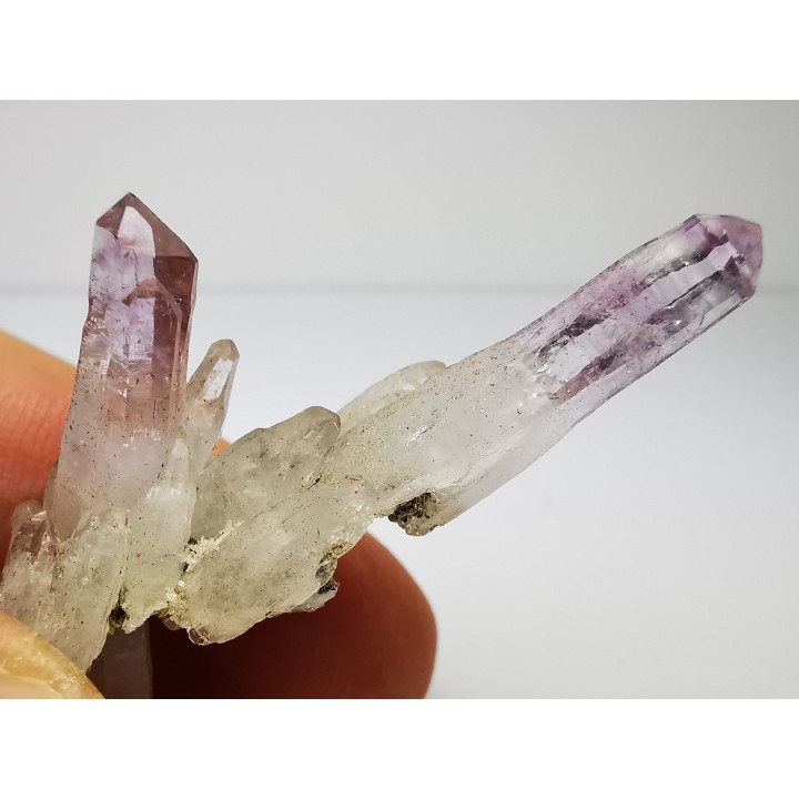 Quartz Amethyste  - Veracruz, Mexique