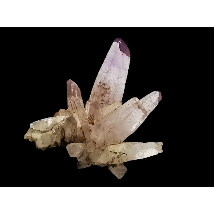 Quartz Amethyste  - Veracruz, Mexique