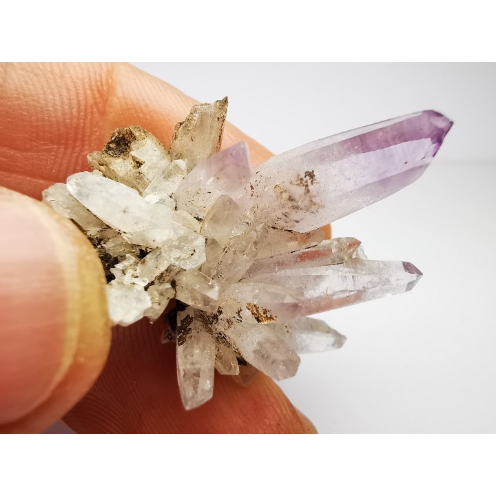 Quartz Amethyste  - Veracruz, Mexique