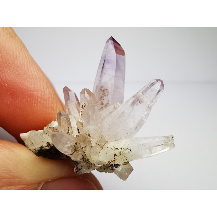 Quartz Amethyste  - Veracruz, Mexique