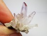 Quartz Amethyste  - Veracruz, Mexique