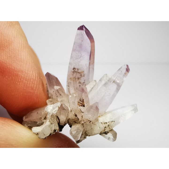 Quartz Amethyste  - Veracruz, Mexique
