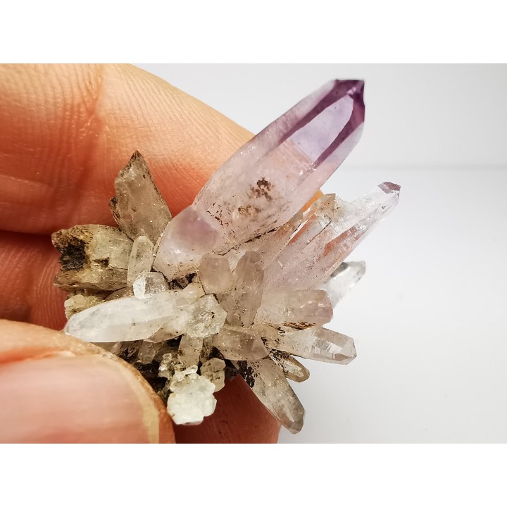 Quartz Amethyste  - Veracruz, Mexique