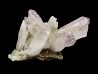 Quartz Amethyste  - Veracruz, Mexique