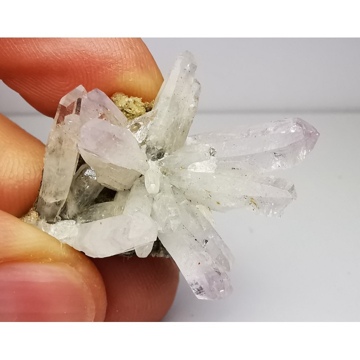 Quartz Amethyste  - Veracruz, Mexique