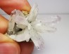 Quartz Amethyste  - Veracruz, Mexique