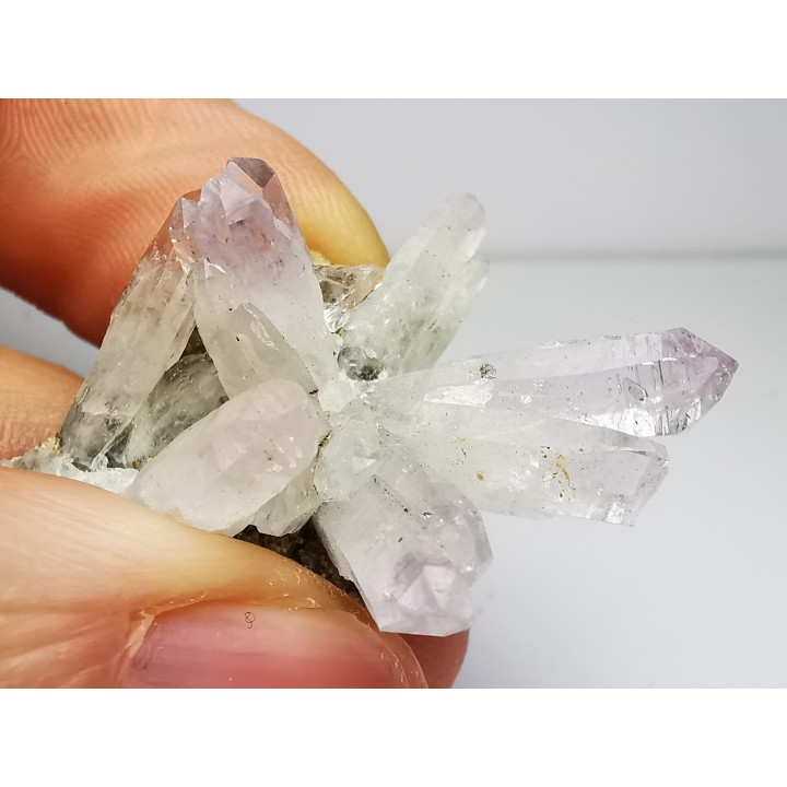 Quartz Amethyste  - Veracruz, Mexique